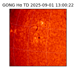gong - 2025-09-01T13:00:22
