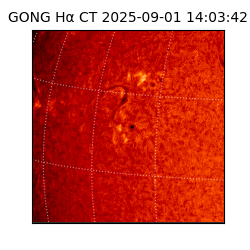 gong - 2025-09-01T14:03:42