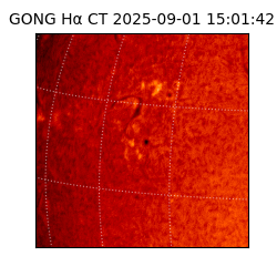 gong - 2025-09-01T15:01:42