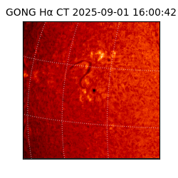 gong - 2025-09-01T16:00:42