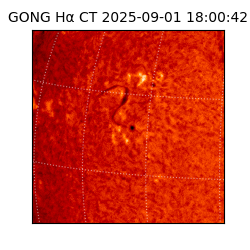 gong - 2025-09-01T18:00:42