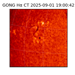 gong - 2025-09-01T19:00:42