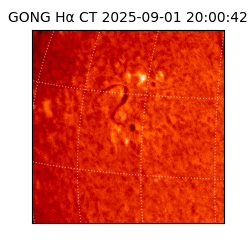 gong - 2025-09-01T20:00:42