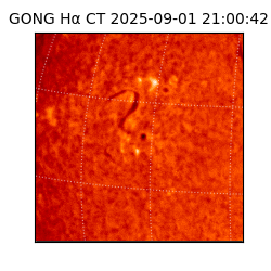 gong - 2025-09-01T21:00:42
