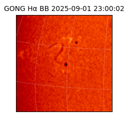 gong - 2025-09-01T23:00:02