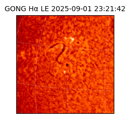 gong - 2025-09-01T23:21:42