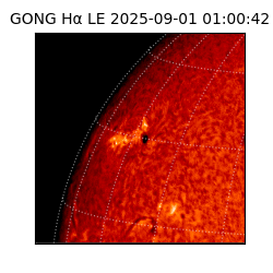 gong - 2025-09-01T01:00:42