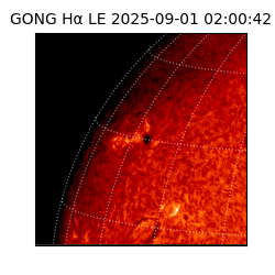 gong - 2025-09-01T02:00:42