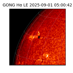 gong - 2025-09-01T05:00:42