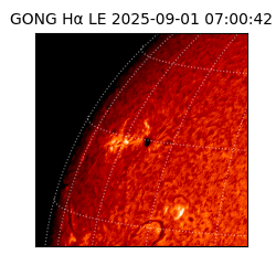 gong - 2025-09-01T07:00:42