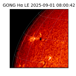 gong - 2025-09-01T08:00:42