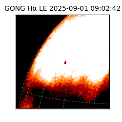 gong - 2025-09-01T09:02:42