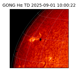 gong - 2025-09-01T10:00:22
