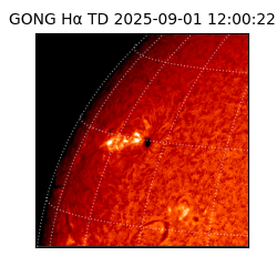 gong - 2025-09-01T12:00:22
