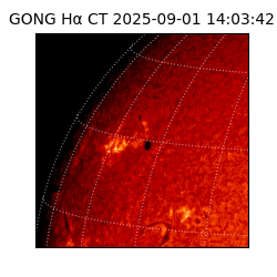 gong - 2025-09-01T14:03:42