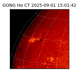 gong - 2025-09-01T15:01:42