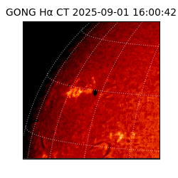 gong - 2025-09-01T16:00:42