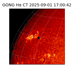 gong - 2025-09-01T17:00:42