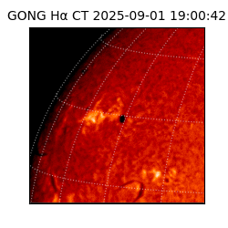 gong - 2025-09-01T19:00:42