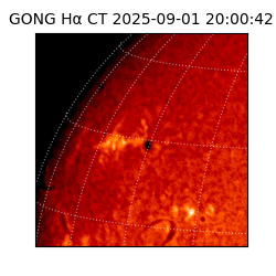 gong - 2025-09-01T20:00:42