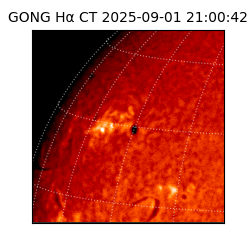 gong - 2025-09-01T21:00:42