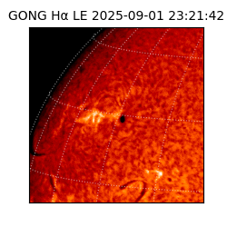 gong - 2025-09-01T23:21:42