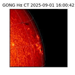 gong - 2025-09-01T16:00:42