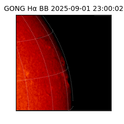 gong - 2025-09-01T23:00:02
