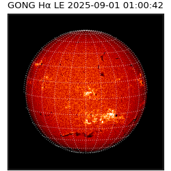 gong - 2025-09-01T01:00:42