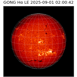 gong - 2025-09-01T02:00:42