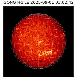 gong - 2025-09-01T03:02:42