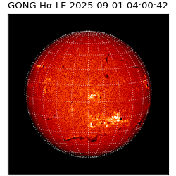 gong - 2025-09-01T04:00:42