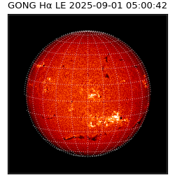 gong - 2025-09-01T05:00:42