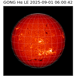 gong - 2025-09-01T06:00:42