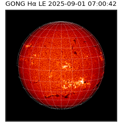 gong - 2025-09-01T07:00:42