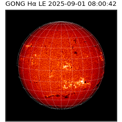 gong - 2025-09-01T08:00:42