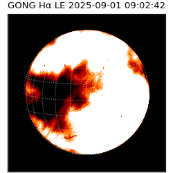 gong - 2025-09-01T09:02:42