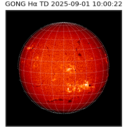 gong - 2025-09-01T10:00:22