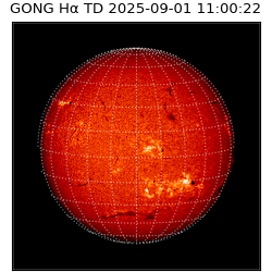 gong - 2025-09-01T11:00:22