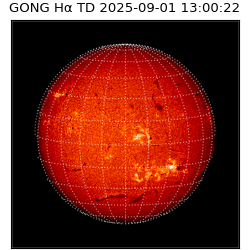 gong - 2025-09-01T13:00:22