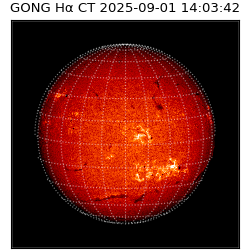 gong - 2025-09-01T14:03:42