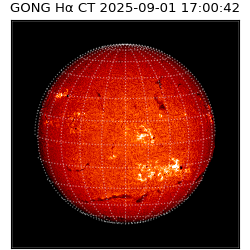 gong - 2025-09-01T17:00:42