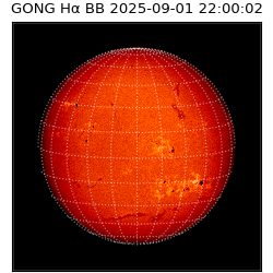 gong - 2025-09-01T22:00:02