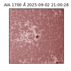 saia - 2025-09-02T21:00:28.720000