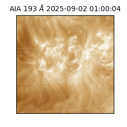 saia - 2025-09-02T01:00:04.843000
