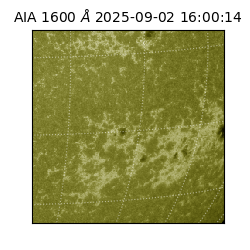 saia - 2025-09-02T16:00:14.126000