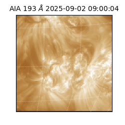 saia - 2025-09-02T09:00:04.843000