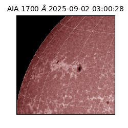 saia - 2025-09-02T03:00:28.717000