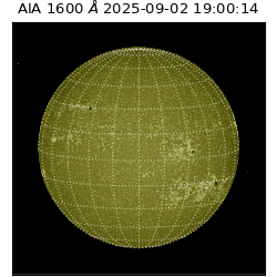 saia - 2025-09-02T19:00:14.118000