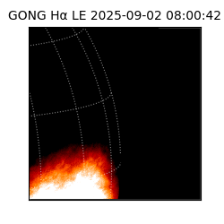 gong - 2025-09-02T08:00:42